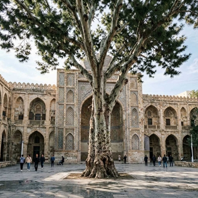 بازار بزرگ تهران: روایت معماری در سایه بلندترین درختان کهنسال؛ داستان درخت چنار 250 ساله و رازهای پنهانش در دل تجارت