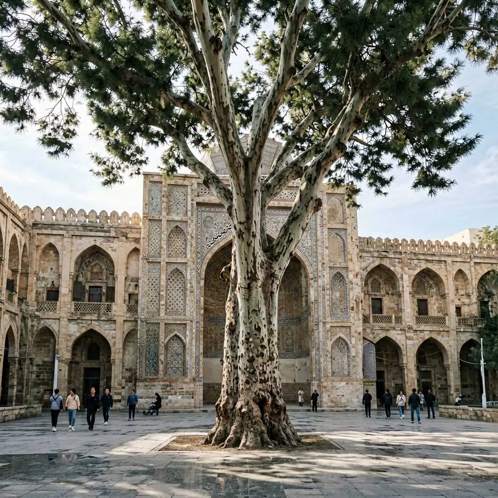 بازار بزرگ تهران: روایت معماری در سایه بلندترین درختان کهنسال؛ داستان درخت چنار 250 ساله و رازهای پنهانش در دل تجارت